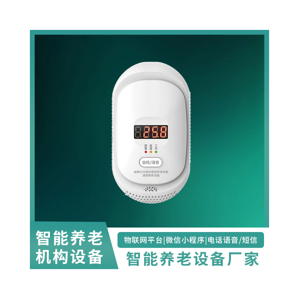 燃气报警器WY-可燃气体报警器
