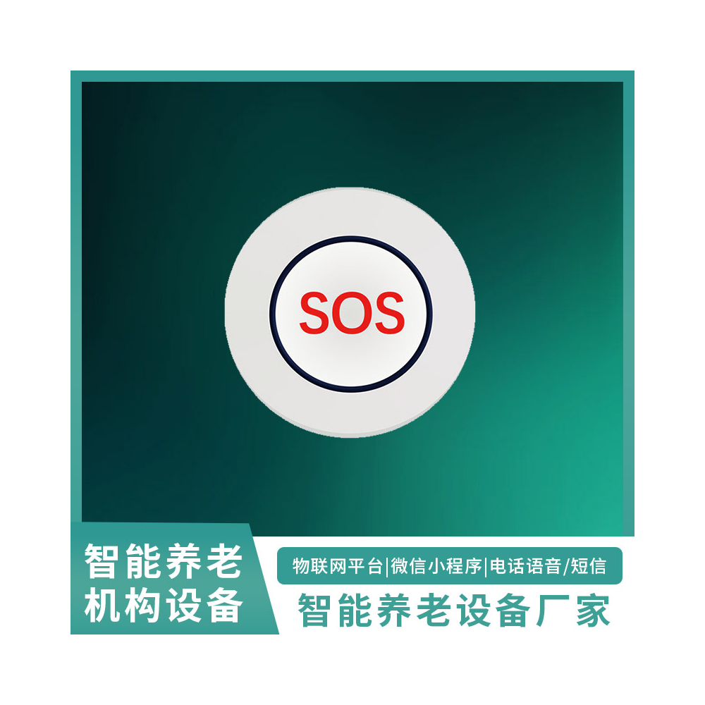 携带式紧急呼叫器WY-携带式呼叫器