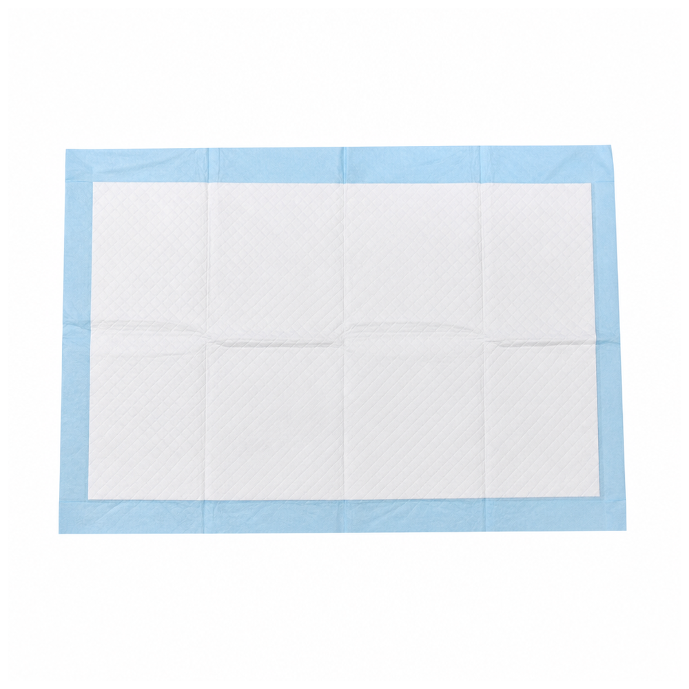 CMS-2746E